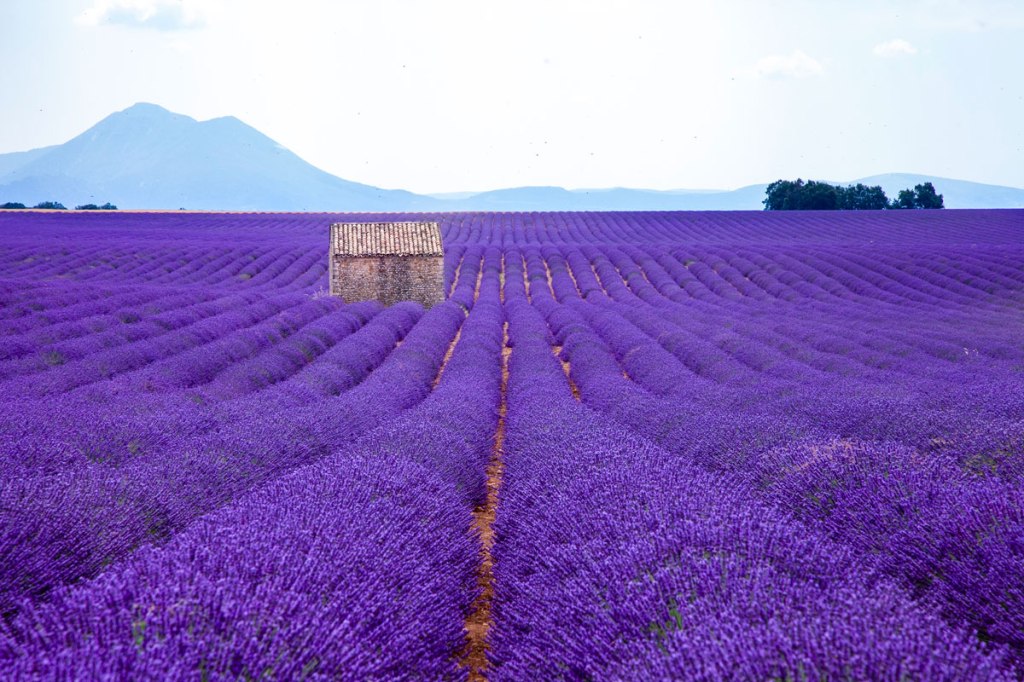 My Summer in&nbsp;France