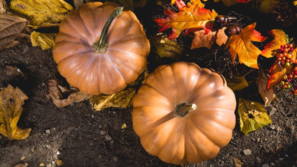 Celebrating Halloween at&nbsp;Home