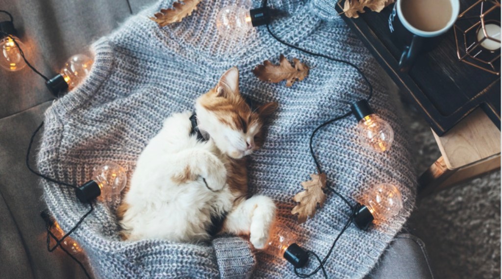 Hygge: Some Interesting Facts about this Popular Danish Concept of&nbsp;Happiness!