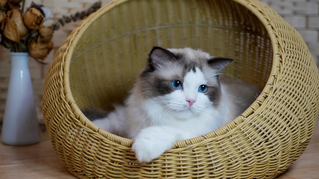 Elevate Your Home Decor with Wicker Baskets